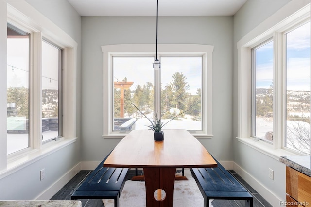 dining area featuring a wealth of natural light