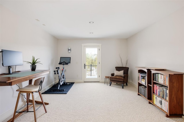 interior space with carpet floors