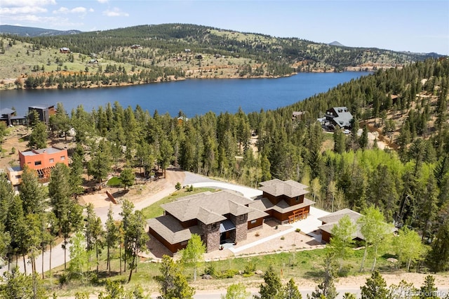 239 Big Springs Pt, Nederland, CO 80466 - photo 38