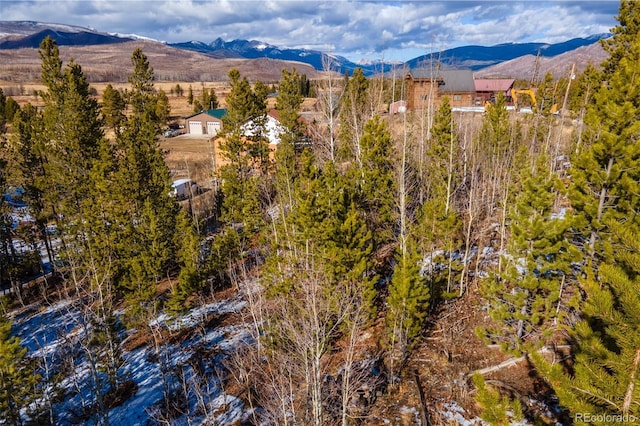 114 Gcr 4905, Grand Lake, CO 80447 - photo 4