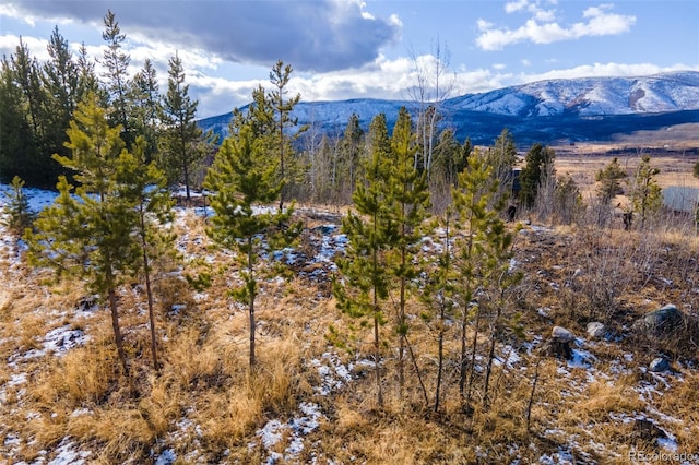 114 Gcr 4905, Grand Lake, CO 80447 - photo 5