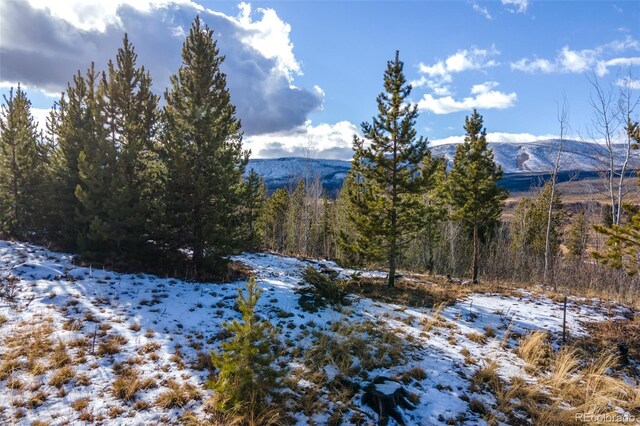 114 Gcr 4905, Grand Lake, CO 80447 - photo 7