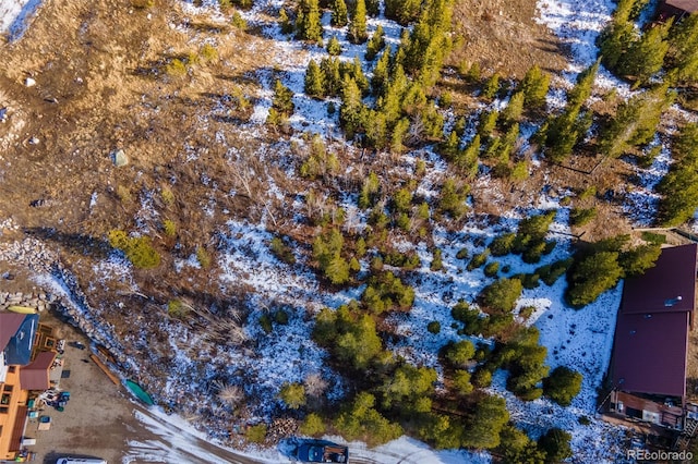 114 Gcr 4905, Grand Lake, CO 80447 - photo 10