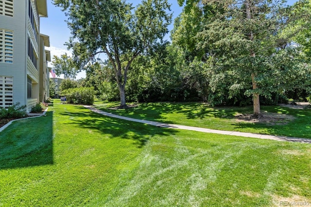 705 S Alton Way Unit 6B, Denver, CO 80247 - view of green lawn
