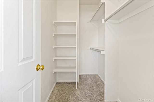 10784 W 63rd Pl Unit 205, Arvada, CO 80004 - spacious closet with carpet flooring