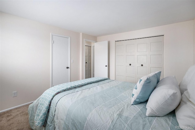 bedroom featuring carpet floors and two closets