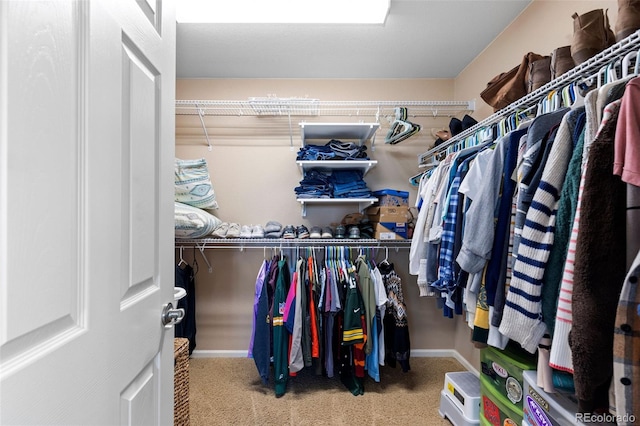 9530 Gray St, Westminster, CO 80031 - walk in closet featuring carpet floors