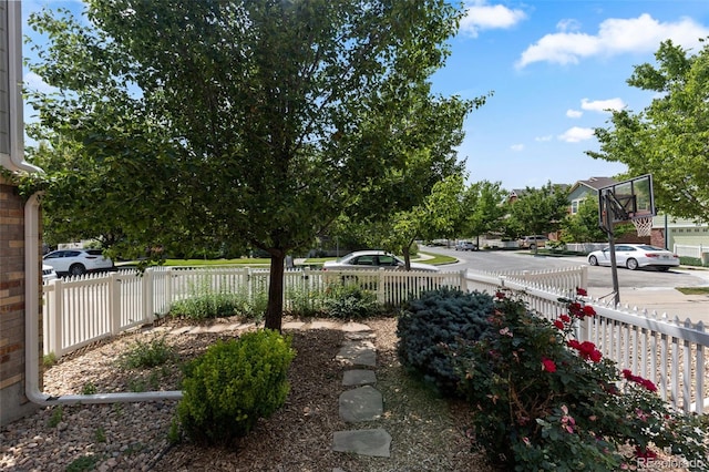 9530 Gray St, Westminster, CO 80031 - view of yard