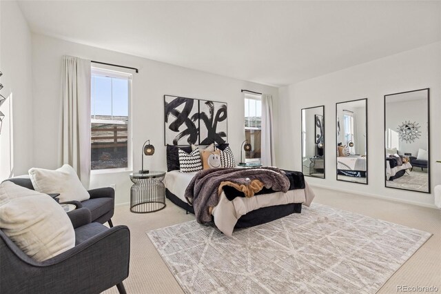 17412 W 93rd Pl, Arvada, CO 80007 - photo 10