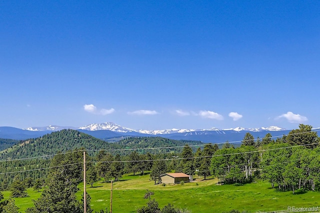4815 Sugarloaf Rd, Boulder, CO 80302 - photo 34