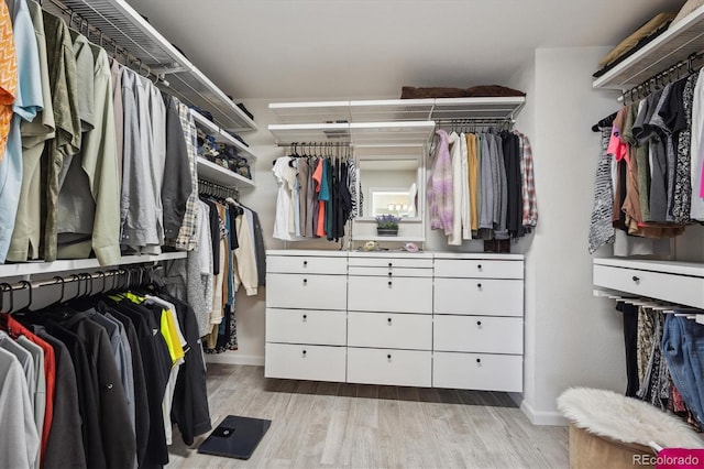 walk in closet featuring light wood-type flooring