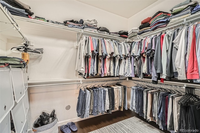 walk in closet featuring hardwood / wood-style flooring