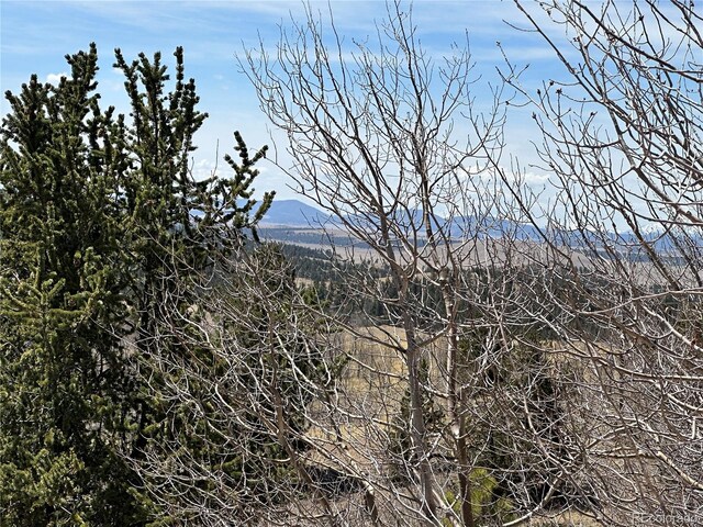 Listing photo 2 for 908 Raven Way, Como CO 80432