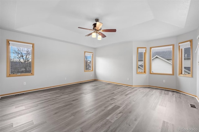 unfurnished room featuring a healthy amount of sunlight, a raised ceiling, and wood-type flooring