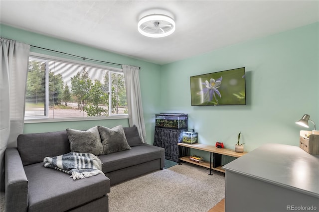 401 Salt Lick Cir Unit 2, Silverthorne, CO 80498 - photo 13
