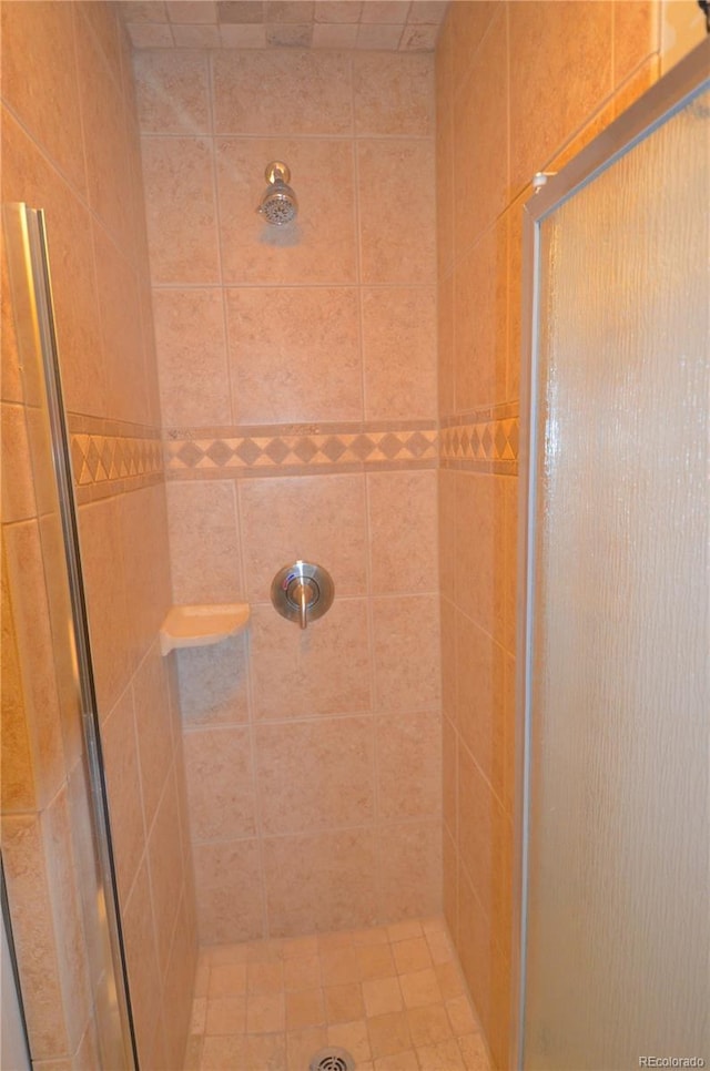 107 Peaks View Ct Unit 324, Blue River, CO 80424 - full bathroom featuring a stall shower