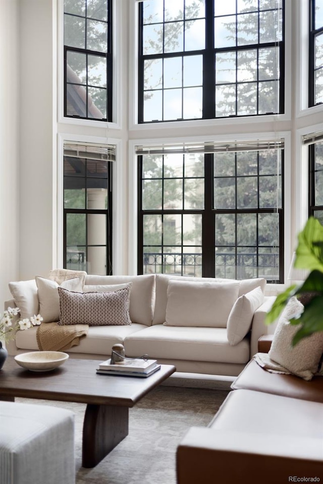 1530 S Quebec Way Unit 24, Denver, CO 80231 - living room with a towering ceiling