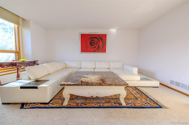 living room with carpet flooring