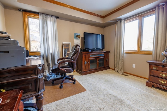 carpeted office space with ornamental molding