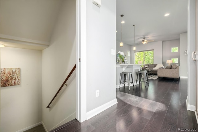 stairway featuring wood-type flooring and ceiling fan