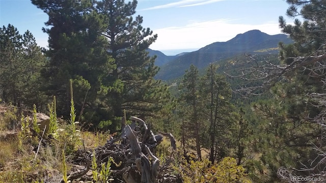 32778 Janelle Ln, Golden, CO 80403 - view of mountain feature with a view of trees