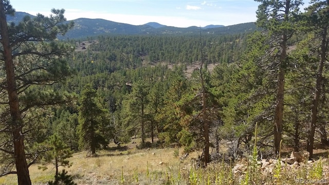 32778 Janelle Ln, Golden, CO 80403 - view of mountain feature with a forest view
