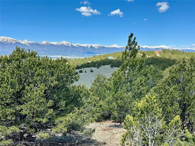 349 Navajo Rd, Westcliffe, CO 81252