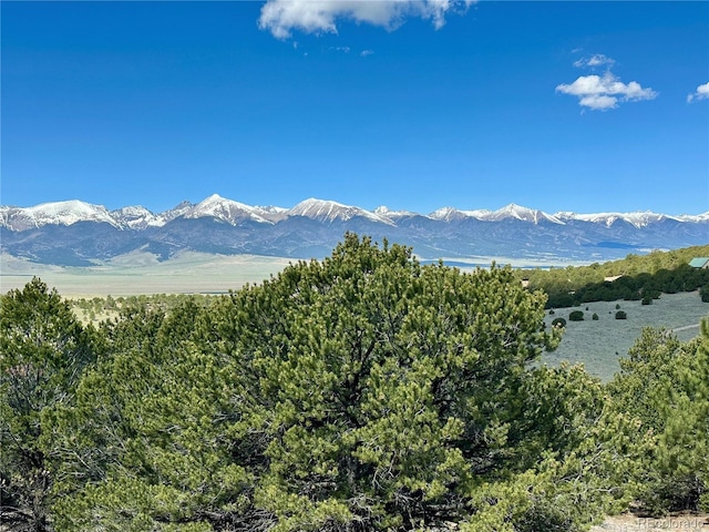 349 Navajo Rd, Westcliffe, CO 81252