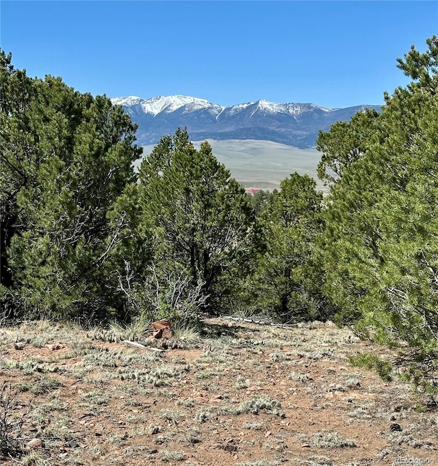 349 Navajo Rd, Westcliffe, CO 81252