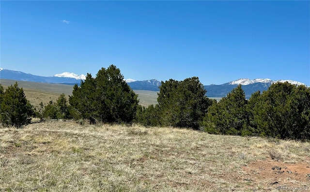349 Navajo Rd, Westcliffe, CO 81252