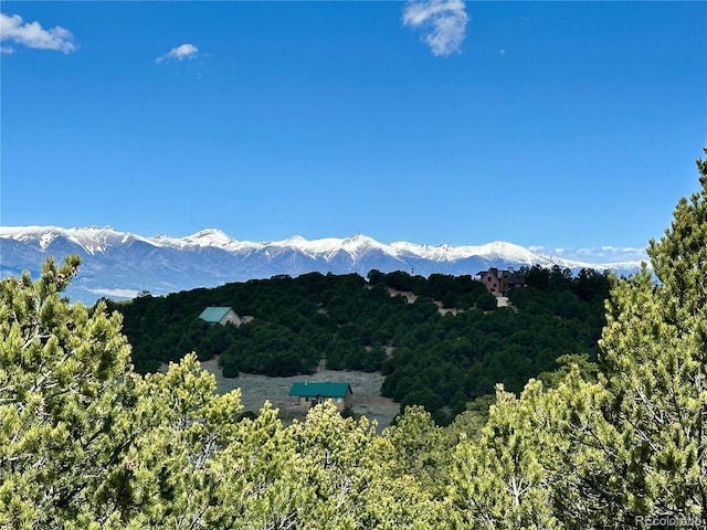 349 Navajo Rd, Westcliffe, CO 81252