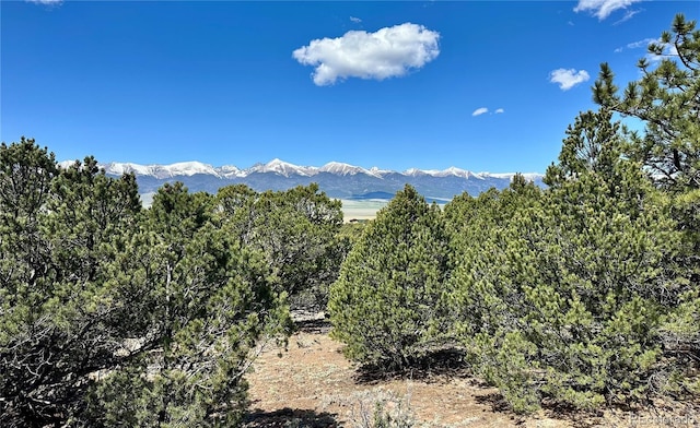 349 Navajo Rd, Westcliffe, CO 81252