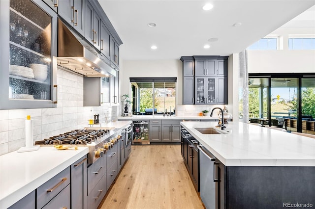 6589 Canyonpoint Rd, Castle Pines, CO 80108 - kitchen featuring light wood finished floors, a sink, tasteful backsplash, under cabinet range hood, and appliances with stainless steel finishes