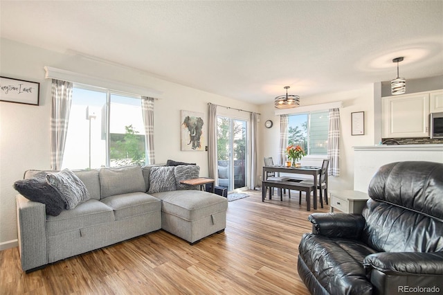 living area with light wood finished floors