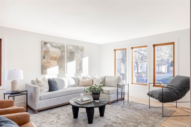 living room with hardwood / wood-style flooring