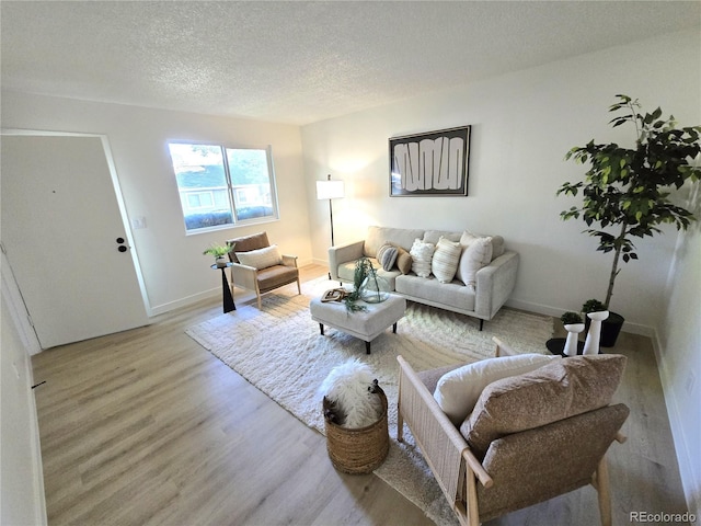 5721 W 92nd Ave Unit 66, Westminster, CO 80031 - living area with light wood-style flooring, a textured ceiling, and baseboards