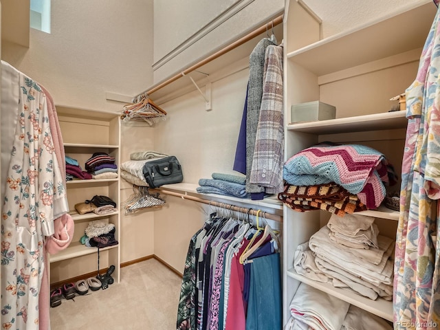 spacious closet featuring carpet floors