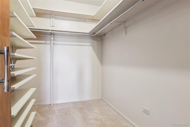 walk in closet featuring light colored carpet