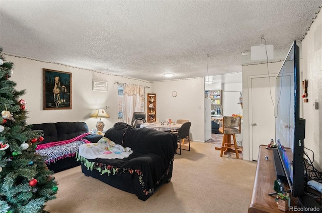 living room with a textured ceiling and carpet floors