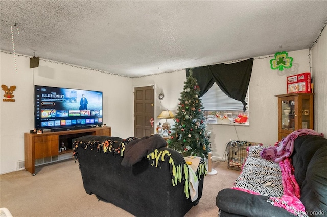 living room with carpet flooring and a textured ceiling