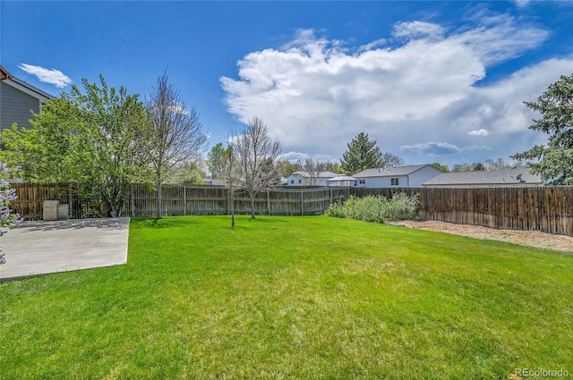view of yard featuring a fenced backyard and a patio area