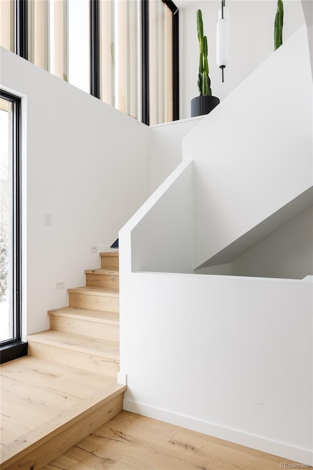 staircase with hardwood / wood-style flooring