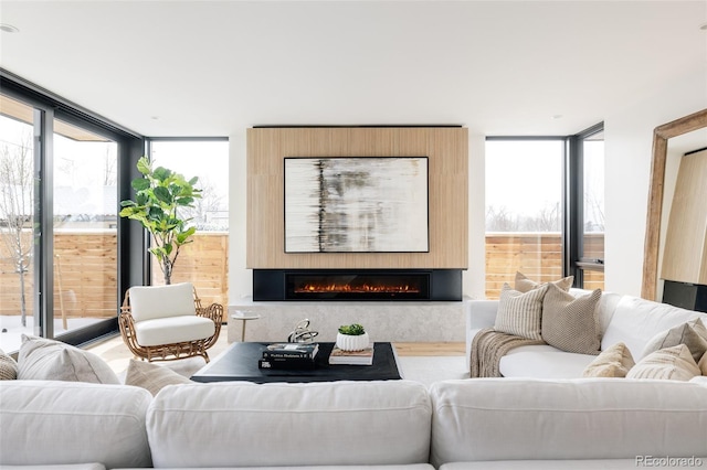 living room with hardwood / wood-style flooring, floor to ceiling windows, and a wealth of natural light