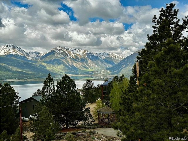 9 Mount Hope Dr, Twin Lakes, CO 81251 - photo 1