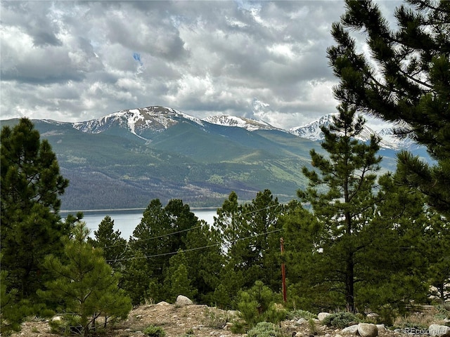 9 Mount Hope Dr, Twin Lakes, CO 81251 - photo 3