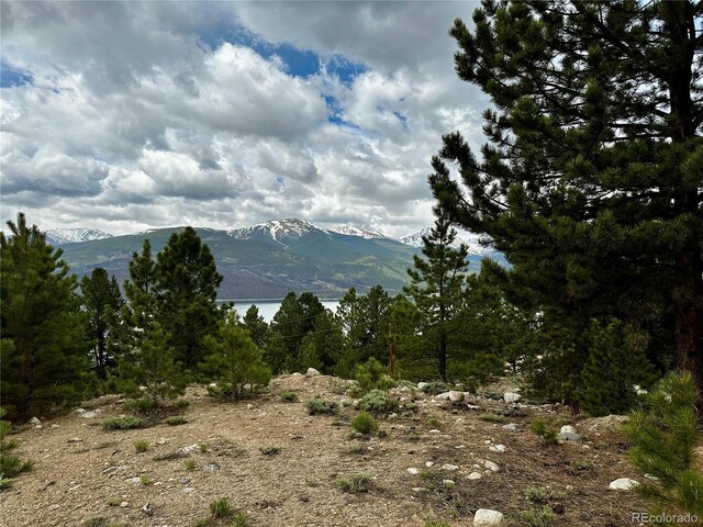 9 Mount Hope Dr, Twin Lakes, CO 81251 - photo 4