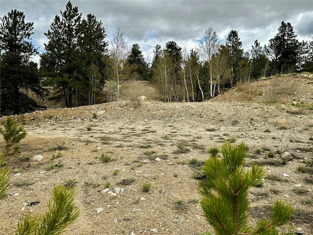 9 Mount Hope Dr, Twin Lakes, CO 81251 - photo 6