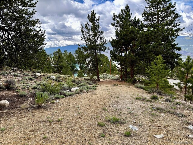 9 Mount Hope Dr, Twin Lakes, CO 81251 - photo 8