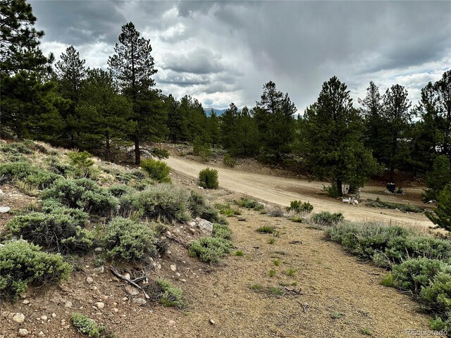 9 Mount Hope Dr, Twin Lakes, CO 81251 - photo 9