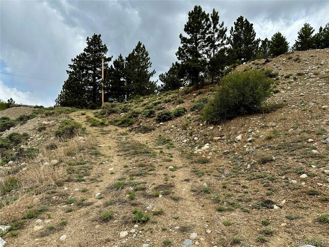 9 Mount Hope Dr, Twin Lakes, CO 81251 - photo 10